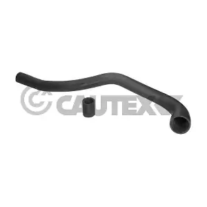 775510 CAUTEX