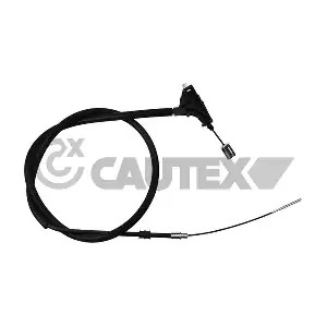 038510 CAUTEX