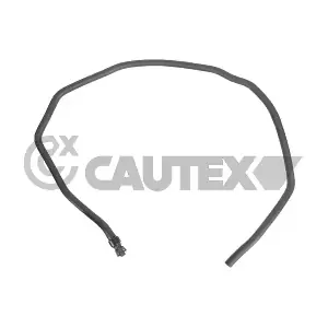 771613 CAUTEX