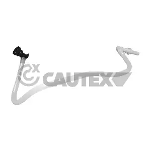 757161 CAUTEX