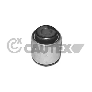 461185 CAUTEX