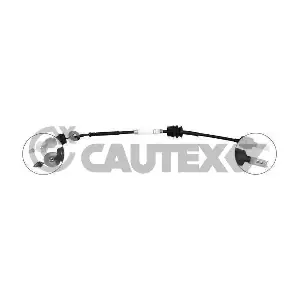 CAUTEX 038464