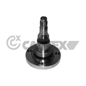 772046 CAUTEX