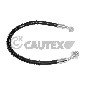756012 CAUTEX