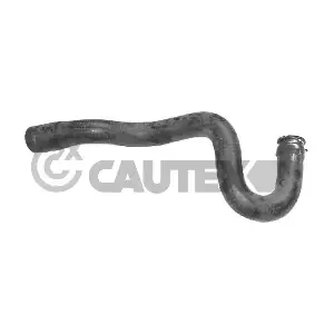 036385 CAUTEX