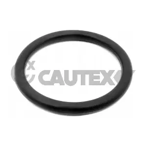 776628 CAUTEX