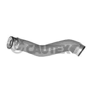 754484 CAUTEX