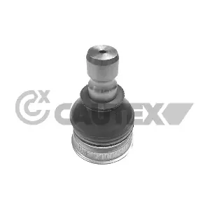 755075 CAUTEX