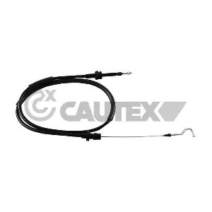763113 CAUTEX