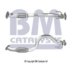 BM50460 BM CATALYSTS
