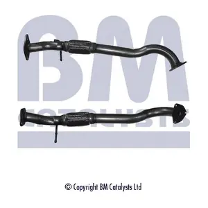 BM CATALYSTS BM50110
