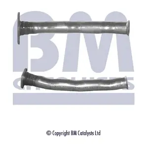 BM50009 BM CATALYSTS