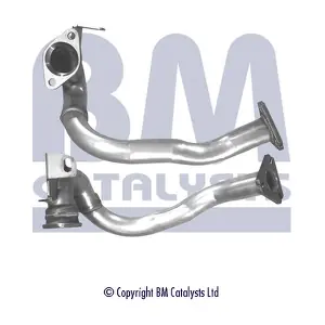 BM70101 BM CATALYSTS