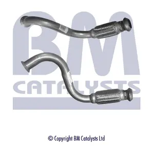BM CATALYSTS BM50216