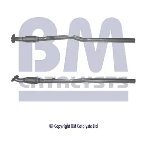 BM CATALYSTS BM50185