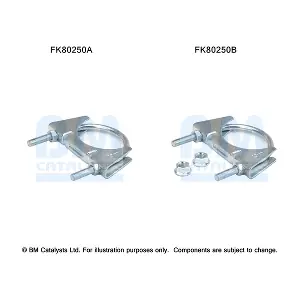 BM CATALYSTS FK80250