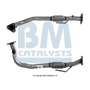 BM CATALYSTS BM70279