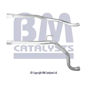 BM CATALYSTS BM50539