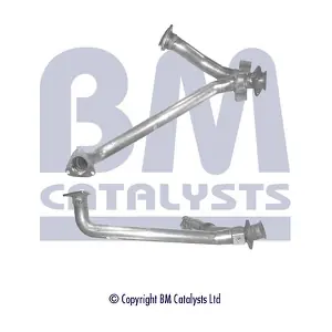 BM CATALYSTS BM70438