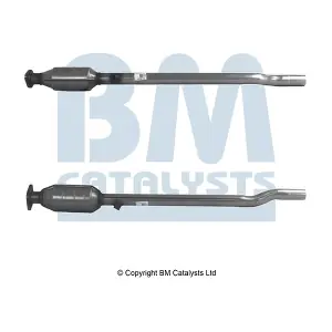 BM CATALYSTS BM91363H