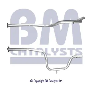 BM CATALYSTS BM50477