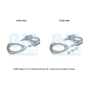 FK50155 BM CATALYSTS