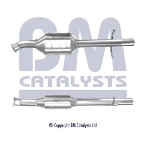 BM CATALYSTS BM80101H