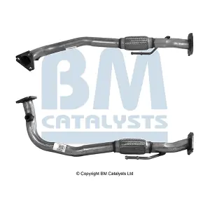 BM70002 BM CATALYSTS