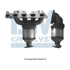 BM CATALYSTS BM91021H