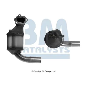 BM CATALYSTS BM80434H
