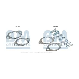 FK91177 BM CATALYSTS