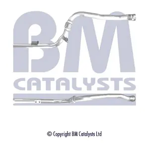 BM CATALYSTS BM50378