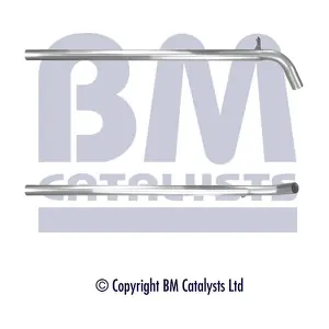 BM CATALYSTS BM50397