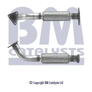 BM CATALYSTS BM70266