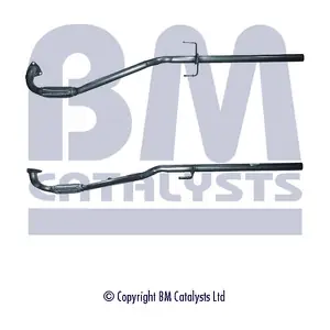 BM CATALYSTS BM50099