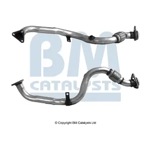BM CATALYSTS BM70263