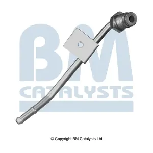 PP11013A BM CATALYSTS