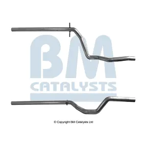 BM51069 BM CATALYSTS