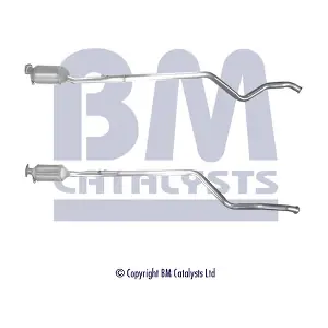 (BM11210) BM CATALYSTS