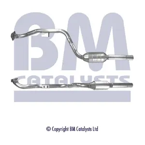 BM CATALYSTS BM90217H