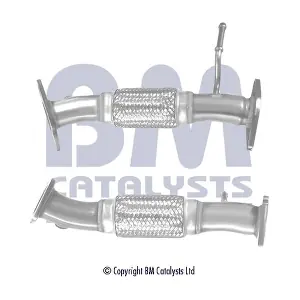 BM50479 BM CATALYSTS
