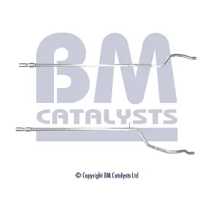 BM CATALYSTS BM50513