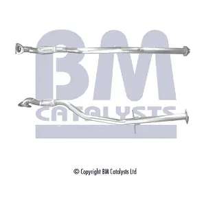 BM50495 BM CATALYSTS