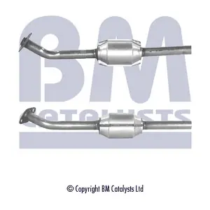 BM CATALYSTS BM90253H