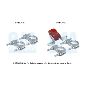 FK50254 BM CATALYSTS