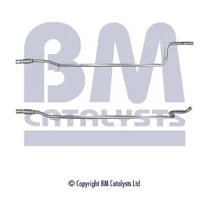 BM CATALYSTS BM50248