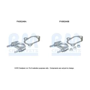 FK80246 BM CATALYSTS