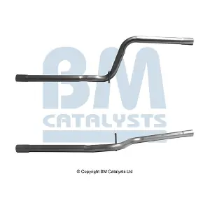 BM51123 BM CATALYSTS
