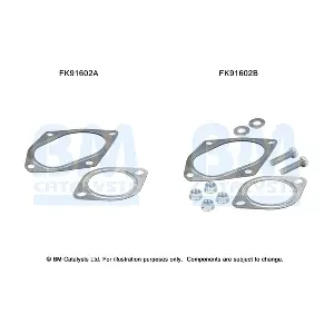 FK91602 BM CATALYSTS