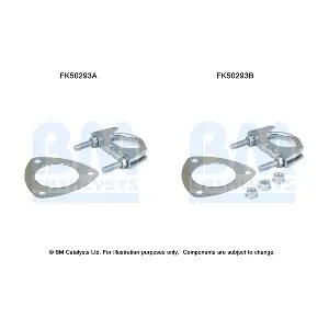 FK50293 BM CATALYSTS